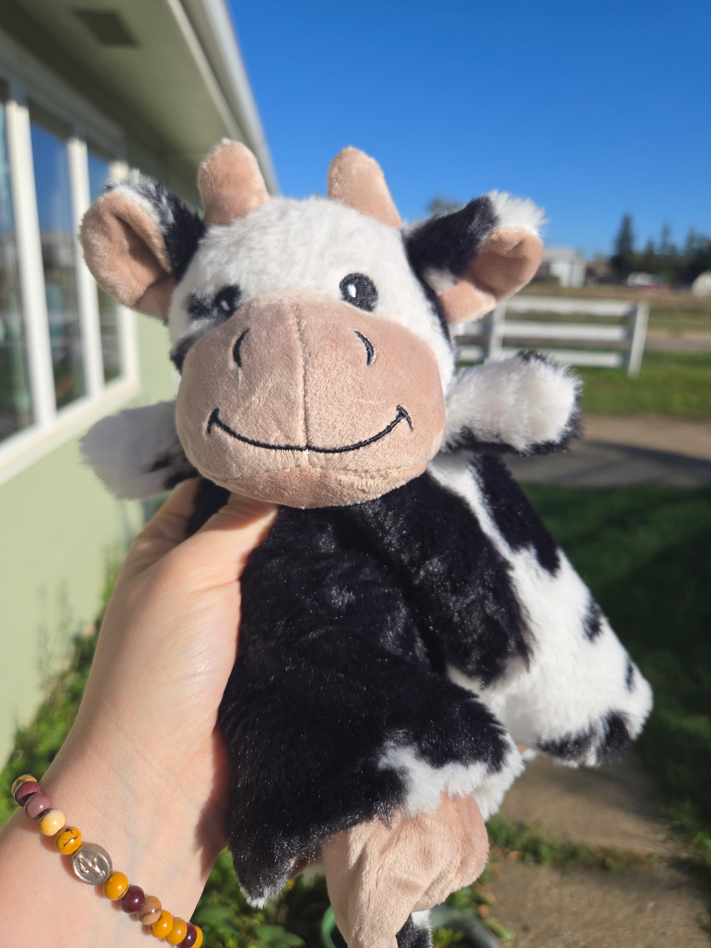 Cow lovie